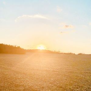 Meet your Posher, Deacon
